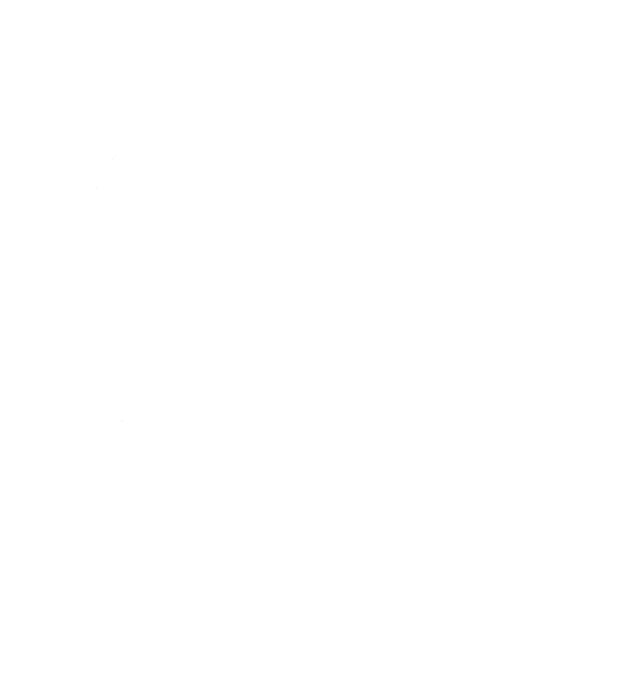 lerin-funeraire-logo